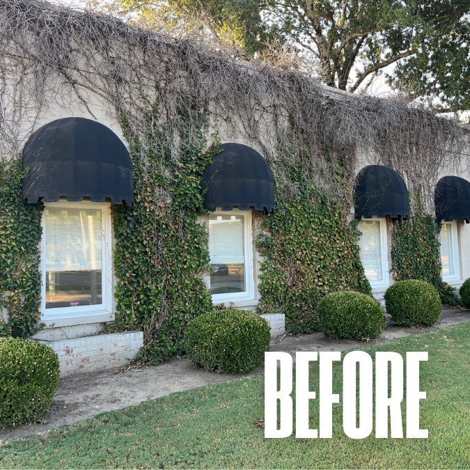 black dome window awnings
