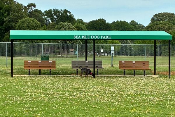 A Frame canopy over outfield benches